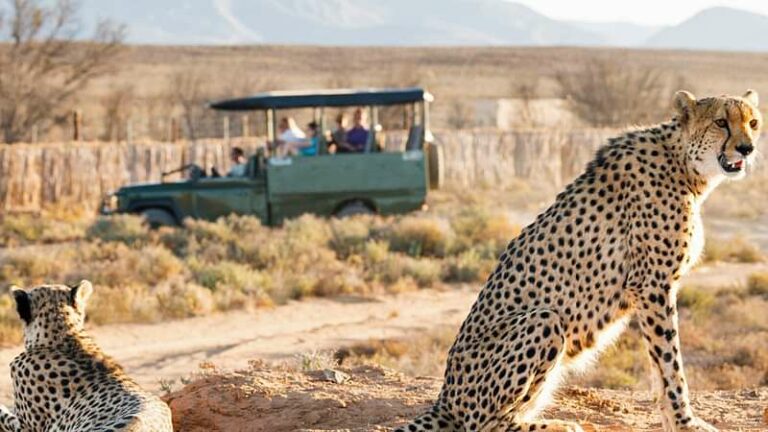 3 Day Sabi Sands Bush Camp Safari